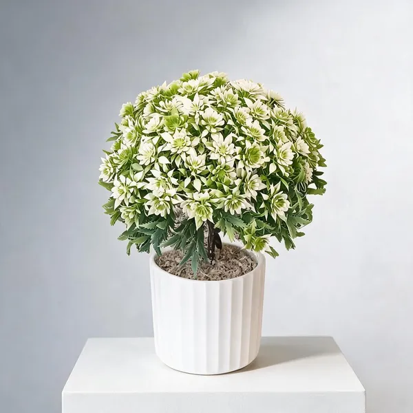 Green_And_White_Plastic_Artificial_Plant_For_Home_Decor_Pack_Of_2