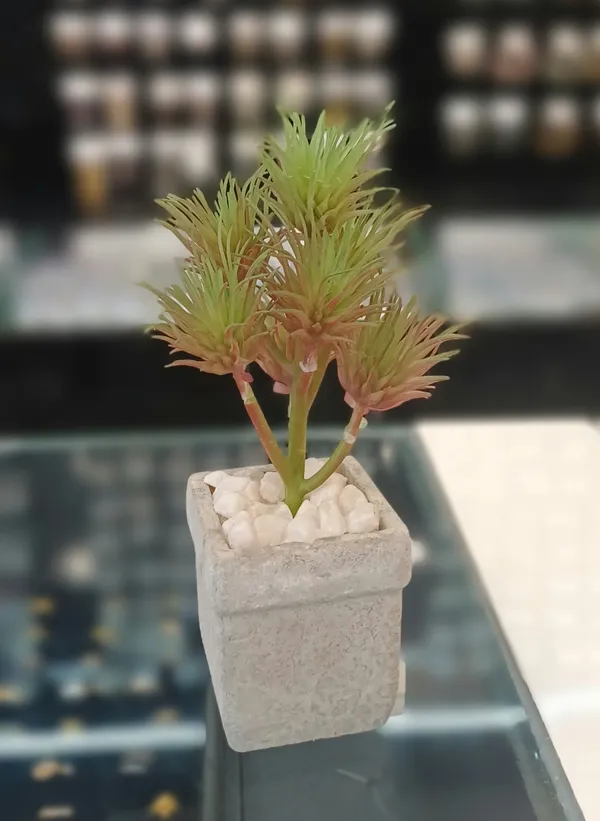 White_And_Green_Concrete_Plant_Pot_For_Home_Decor
