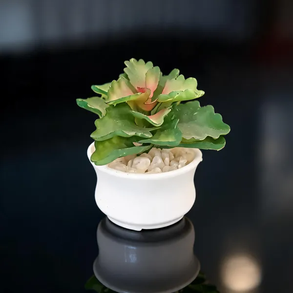 Green_And_White_Plastic_Artificial_Plant_For_Home_Decor