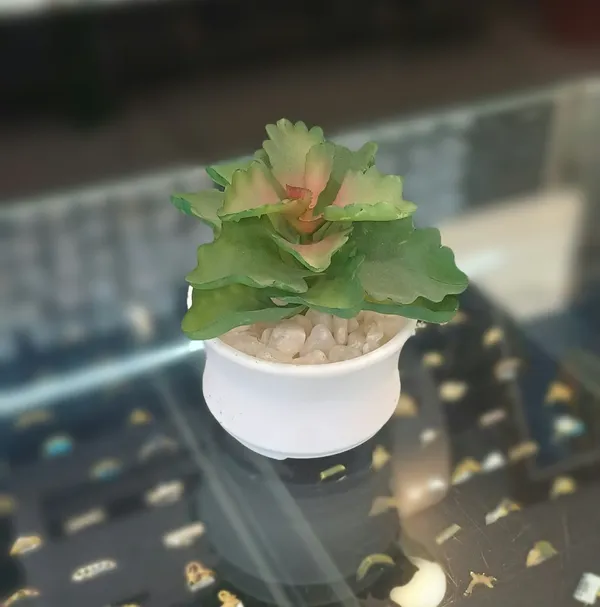 Green_And_White_Plastic_Artificial_Plant_For_Home_Decor