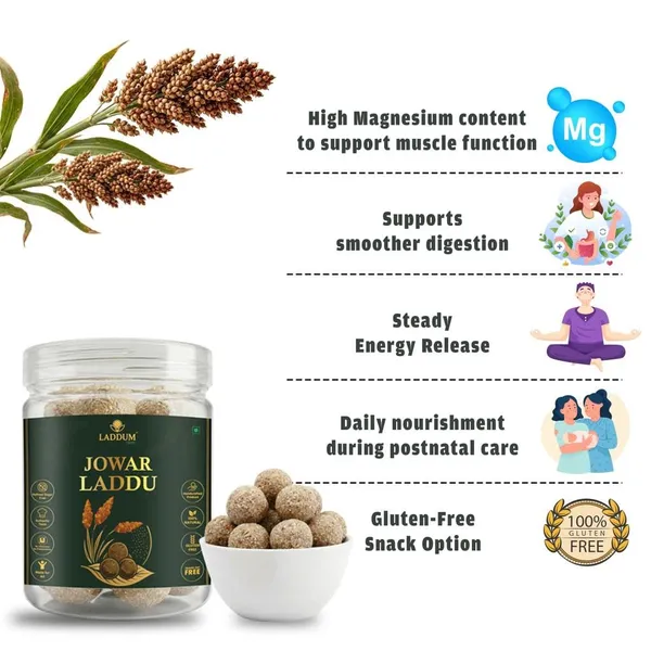 Jowar_Laddu_With_Dry_Fruits