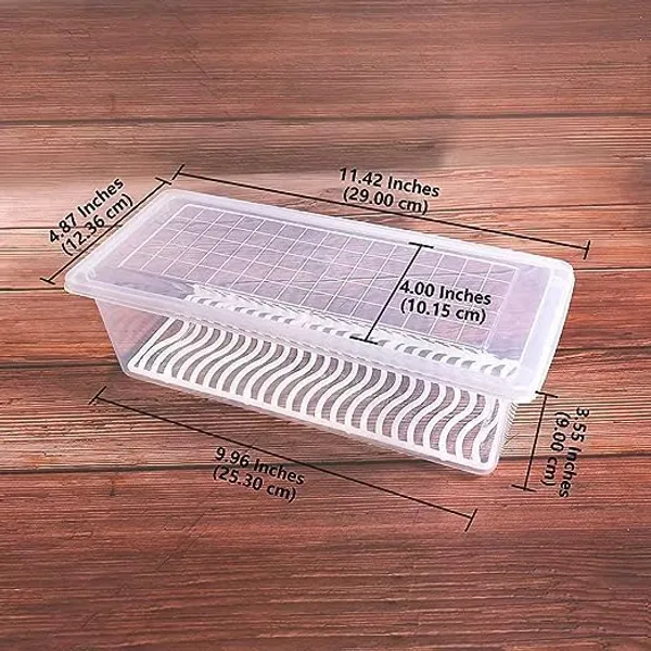 Refrigerator_Storage_Container_With_Drain_Plate