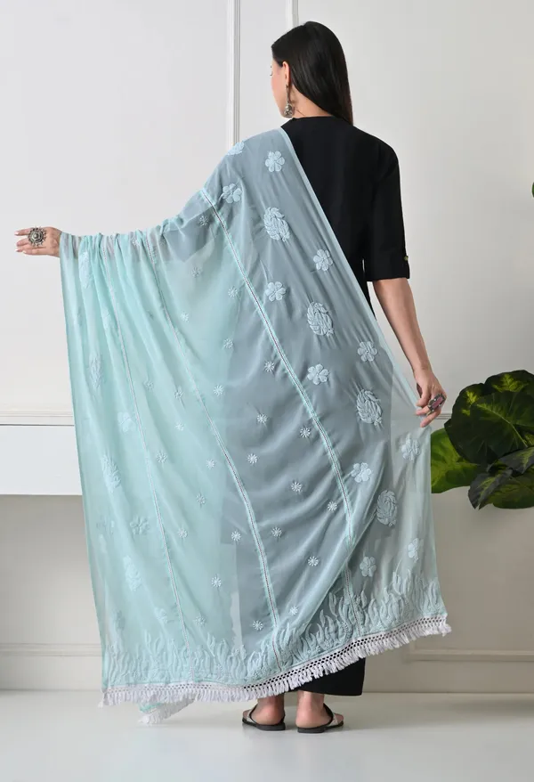 Mint_Green_Soft_Georgette_Chikankari_Hand_Embroidered_Dupatta_For_Women_Mint_Green_Machine_Washable