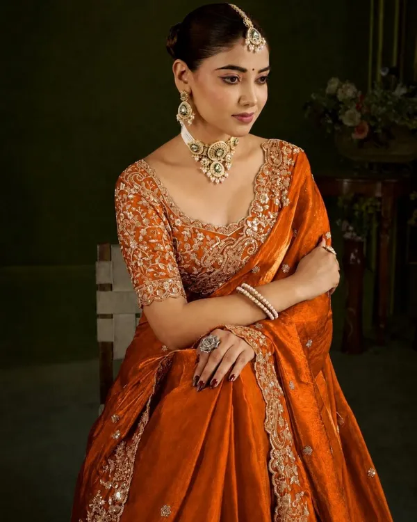 Rust_Orange_Embroidered_Fandy_Saree_Default_Title
