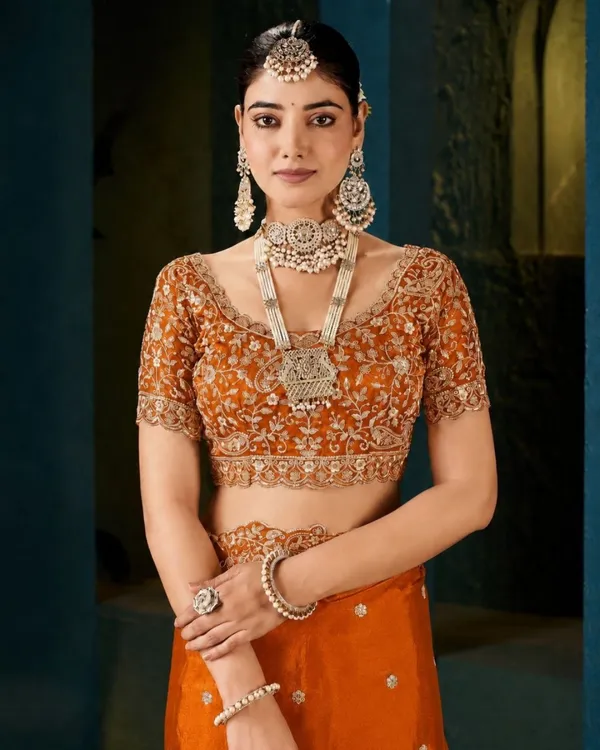 Rust_Orange_Embroidered_Fandy_Saree_Default_Title