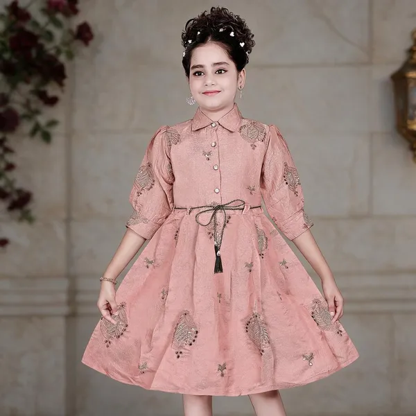 Pink_Embroidered_Fit_And_Flare_Dress_For_Girls