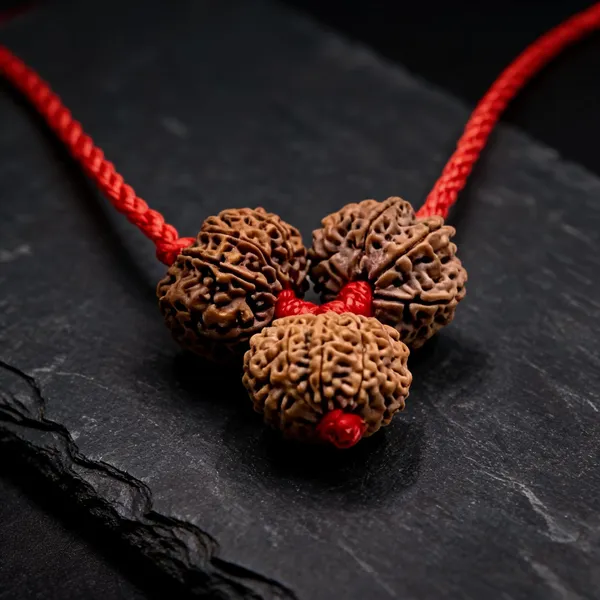 4_5_6_Mukhi_Rudraksha_Brown_Bead_Combo