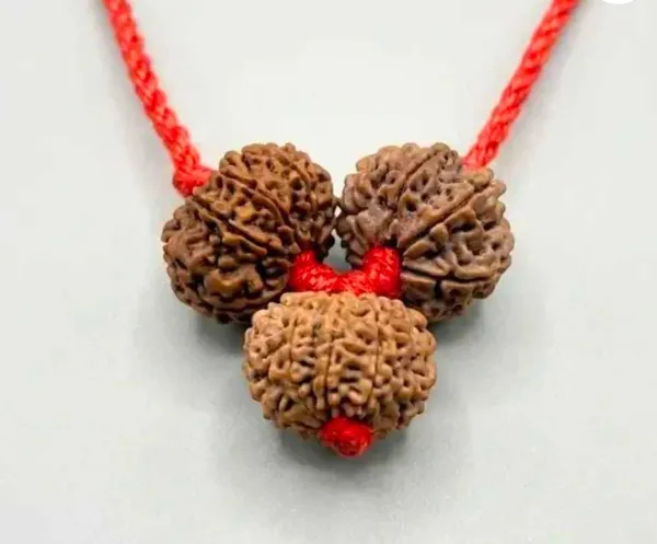 4_5_6_Mukhi_Rudraksha_Brown_Bead_Combo