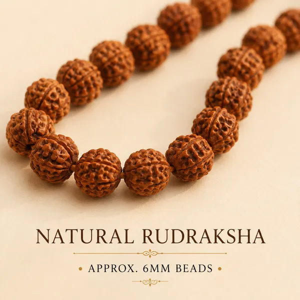 Natural_Rudraksha_Ganthi_Mala_6mm_Traditional_Japa_Meditation_Mala_Default_Title
