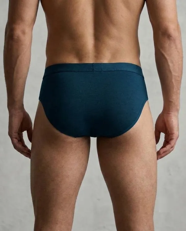 Blue_Brief_Underwear_for_Men