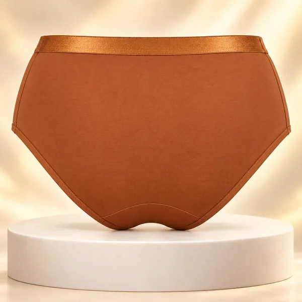 Brown_High_Rise_Brief_Panty_for_Women