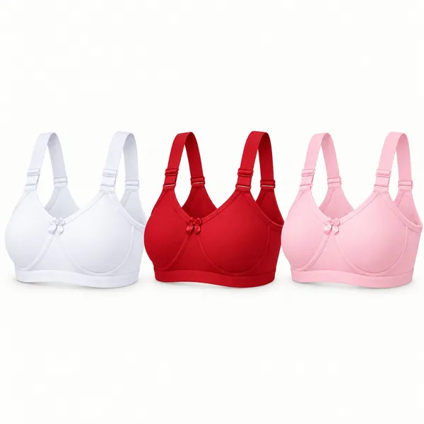Multicolor_Everyday_Fit_Bra_Set_for_Women