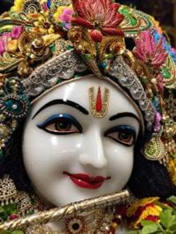 Agniratna_Tilak_Shreenath_Ji_Tilak_Krishna_Tilak_Tlak_For_Ganesh_Ji_Tilak_For_All_God_Idol_Murti_Pooja_Articles_Puja_Accessories_4_Inch