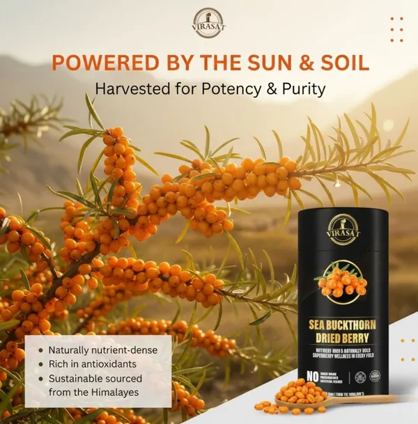 Sun-Dried_Himalayan_Sea_Buckthorn_Berries