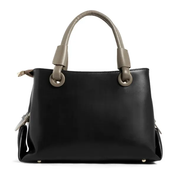Exotic_Premium_Two_Tone_Handbag_Default_Title