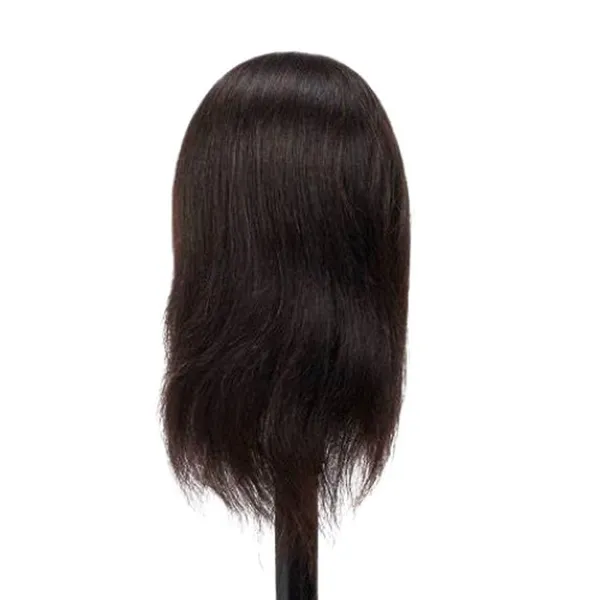 4x4_Closure_Wig_Human_Hair_Straight