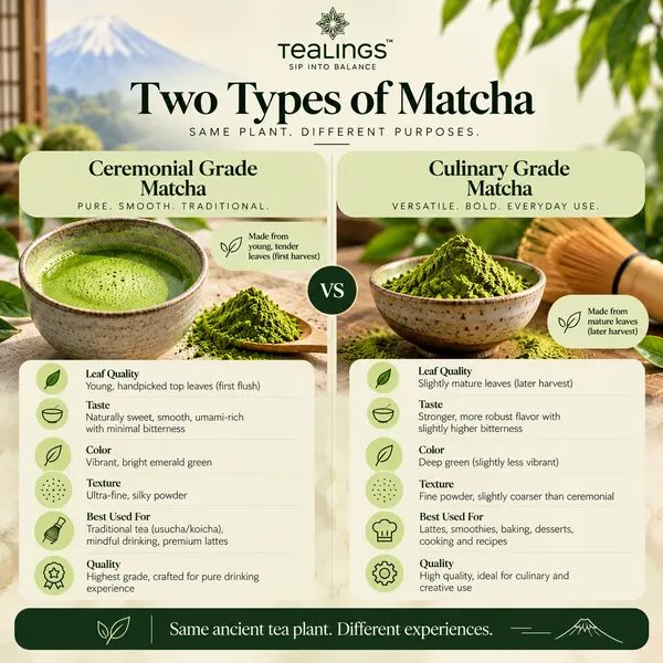 Matcha_Green_Tea