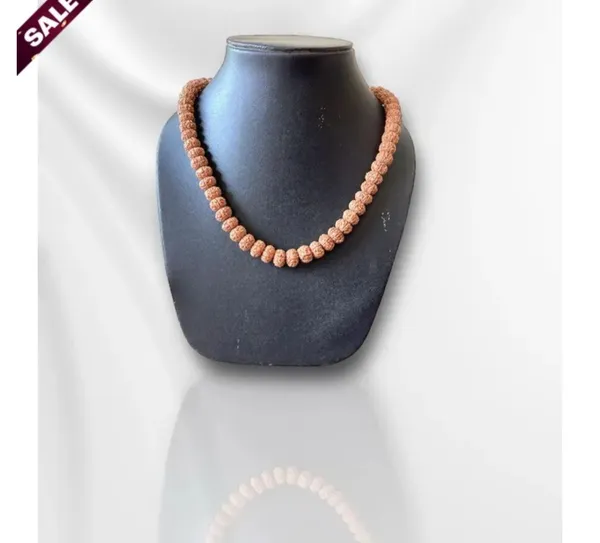 Brown_Lab_Certified_109_Beads_Rudraksh_Mala