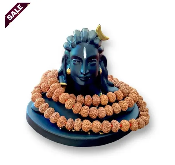 Brown_Lab_Certified_109_Beads_Rudraksh_Mala