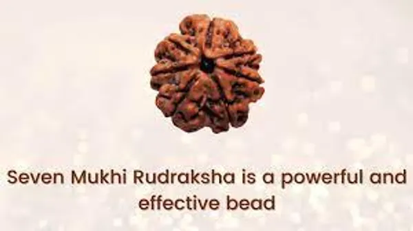 https://d1311wbk6unapo.cloudfront.net/NushopCatalogue/tr:f-webp,w-600,fo-auto/7_Mukhi__face___Rudraksha_to_get_happiness_and_prosperity_70AGAF1OTX_2023-10-17_1.jpg__Forever Jewellery