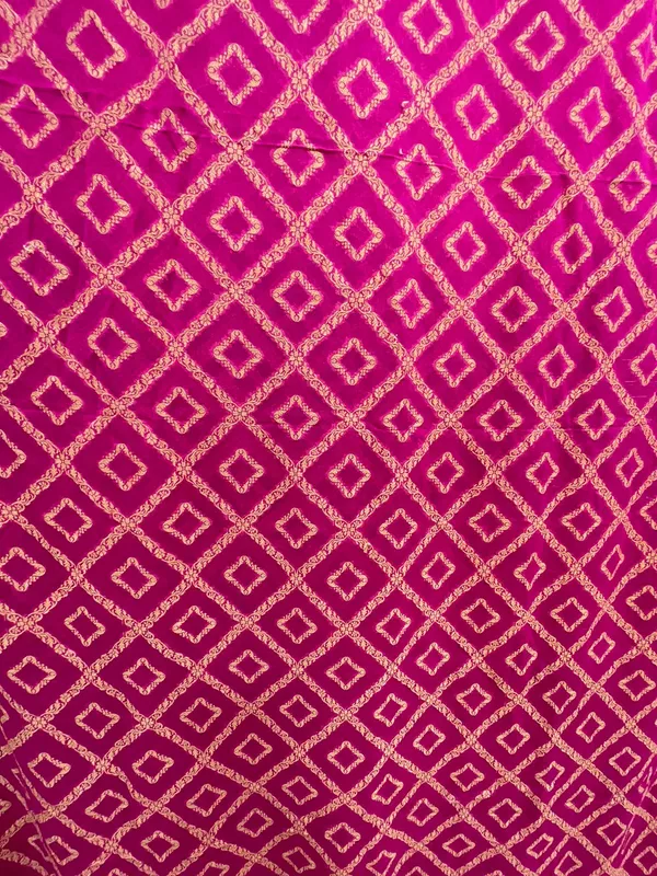 Humairah_Pure_Handloom_Pink_Khaddi_Georgette_Kadhwa_Bandhani_Zari_Jaal_with_Banarasi_Golden_Zari_Floral_Border_with_Kadhwa_Pink_Blouse