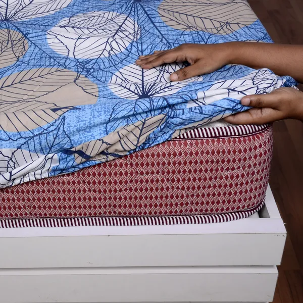 Classy_Cassava_Cotton_Fitted_Bedsheet_For_Double_Bed_With_2_Pillow_Cover_Lichen_Blue_(150_x_200_CM)