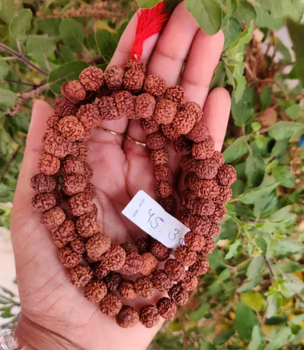 Brown_Lab_Certified_109_Beads_Rudraksh_Mala