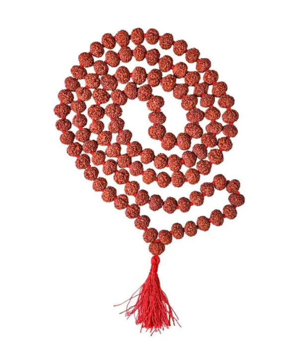 Brown_Lab_Certified_109_Beads_Rudraksh_Mala