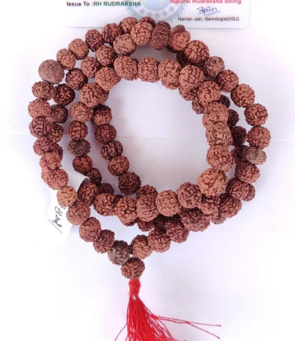Brown_Lab_Certified_109_Beads_Rudraksh_Mala