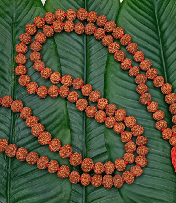 Brown_Lab_Certified_109_Beads_Rudraksh_Mala