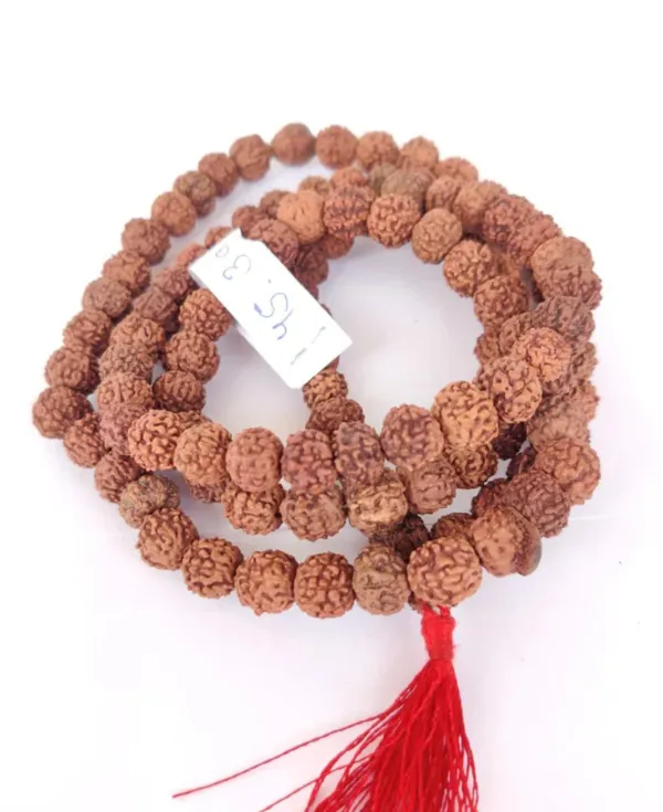 Brown_Lab_Certified_109_Beads_Rudraksh_Mala