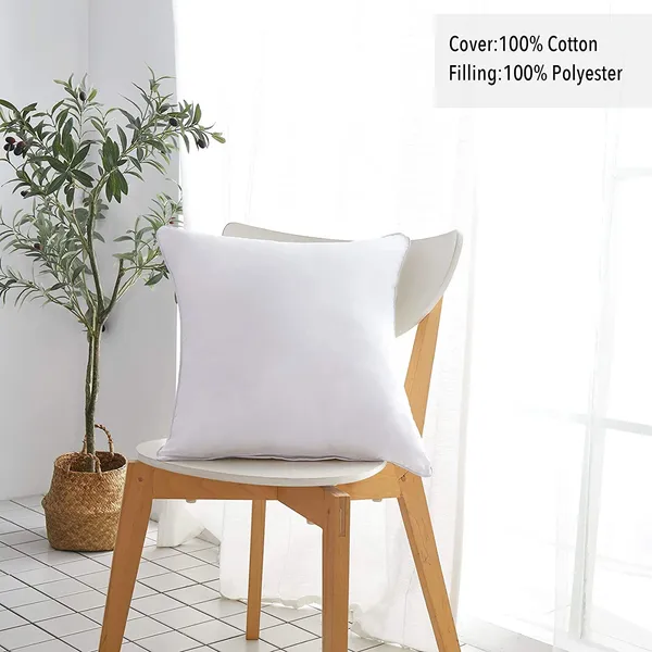 Homerz_Premium_Set_of_2_Cushions,_24_x_24_inches,_3D_conjugated_Fiber_Filled,_Vacuum_Pack
