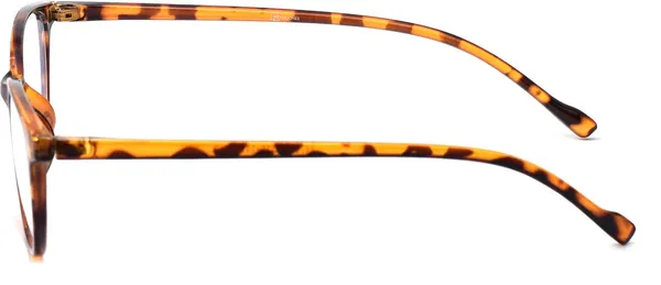 Brown_Full_Rim_Cat-Eyed_Frame_(52_Mm)_-_For_Men