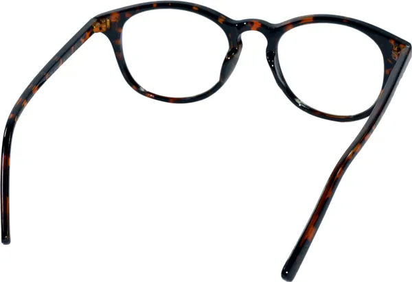 Brown_Full_Rim_Round_Frame_(48_Mm)_-_For_Unisex