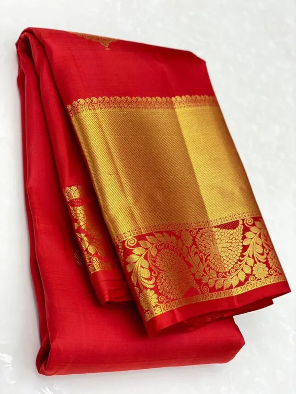 Red_Woven_Kanjivaram_Silk_Saree_with_Saree_Cover