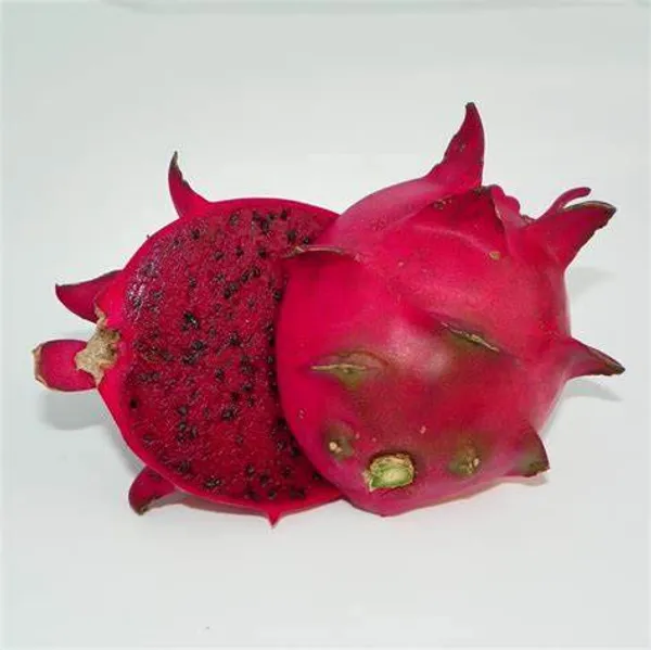 American_Red_Dragon_Fruit_Plant_(Hybrid,_Pack_Of_1)