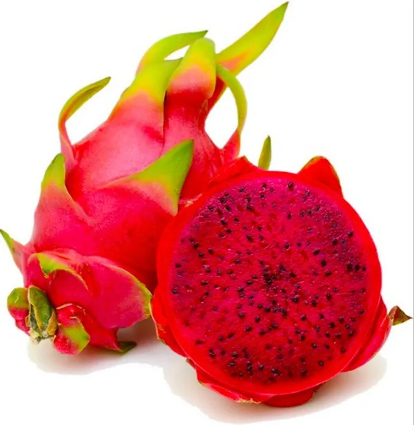 American_Red_Dragon_Fruit_Plant_(Hybrid,_Pack_Of_1)