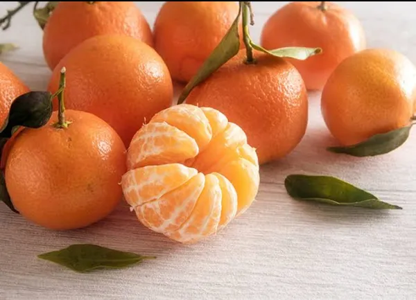Australian_Mandarin_Sweet_Orange_Grafted_Fruit_Plant