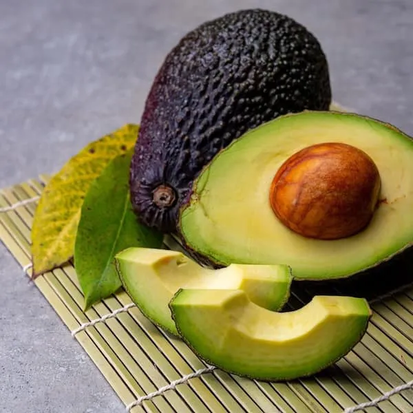 Thai_Avocado_Dwarf_Variety_Hybrid_Fruit_Plant