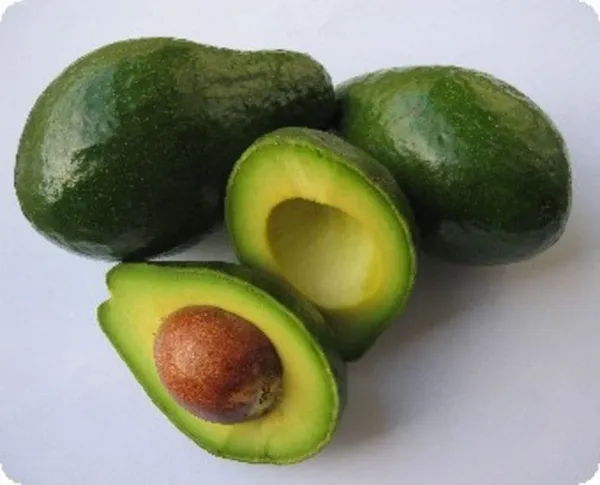 Avocado_Fruit_Plant__(1.5-3_Feet_Height_Pack_Of_1)