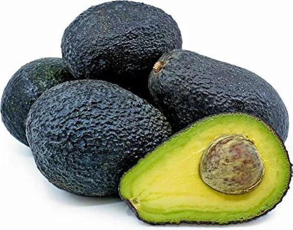Thai_Hass_Avocado_Hybrid_Fruit_Plant