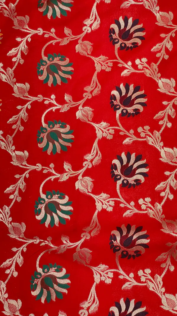 Humairah_Presents_Red_Katan_Silk_Floral_Mina_Zari_Jaal_Boota_with_Banarasi_Zari_Border_and_Red_Blouse