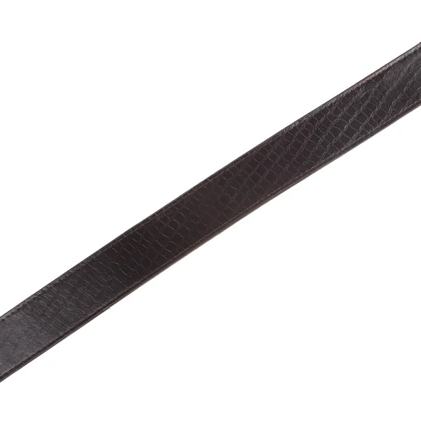 Exotique_Men's_Brown_Casual_Leather_Belt_(BM0004BR)