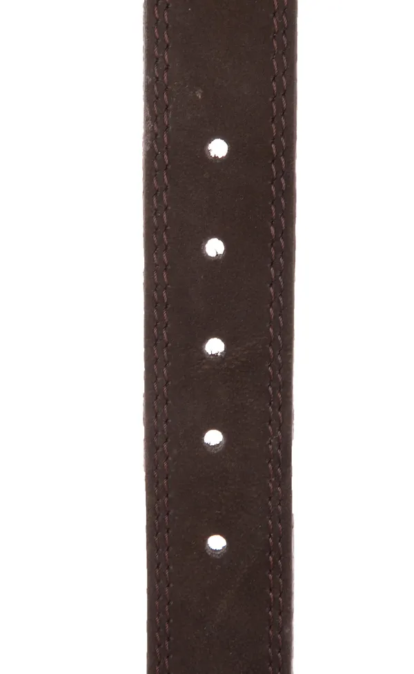 Exotique_Men's_Brown_Casual_Leather_Belt_(BM0015BR)