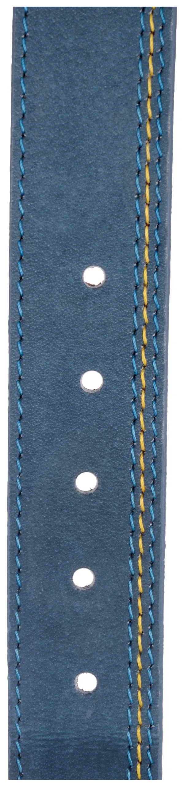 Exotique_Men's_Blue_Casual_Leather_Belt_(BM0047BL)