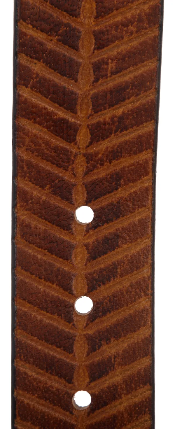 Exotique_Men's_Brown_Casual_Leather_Belt_(BM0053BR)