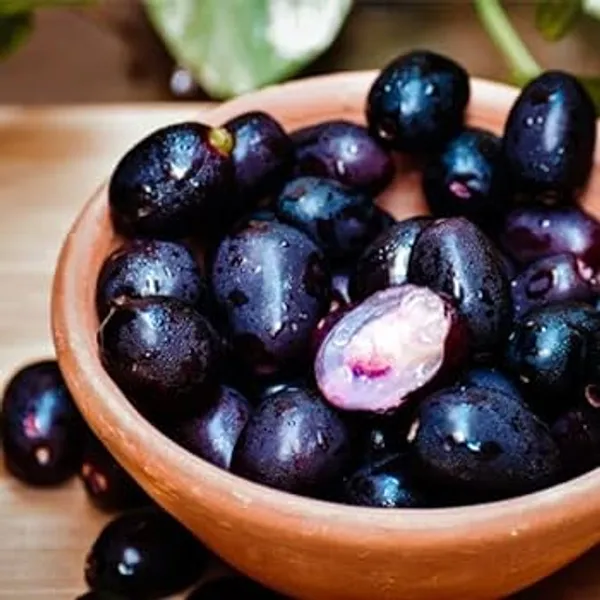 Purple_Thai_Black_Jamun_Grafted_And_Hybrid_Plants_Organic_Live_Plant_For_Gardening