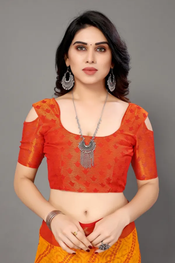 Exclusive_Chiffon_Brasso_Printed_Saree_With_Blouse
