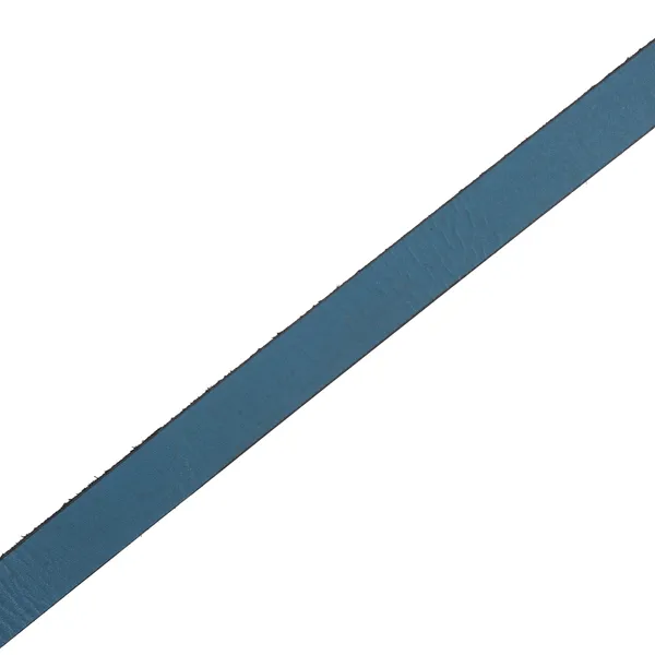 Exotique_Blue_Casual_Leather_Belt_For_Women_(BW0002BL)