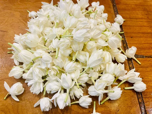 Beautiful_White_Jasmine_Flower_Plant_-_Bel_Ful_Plant